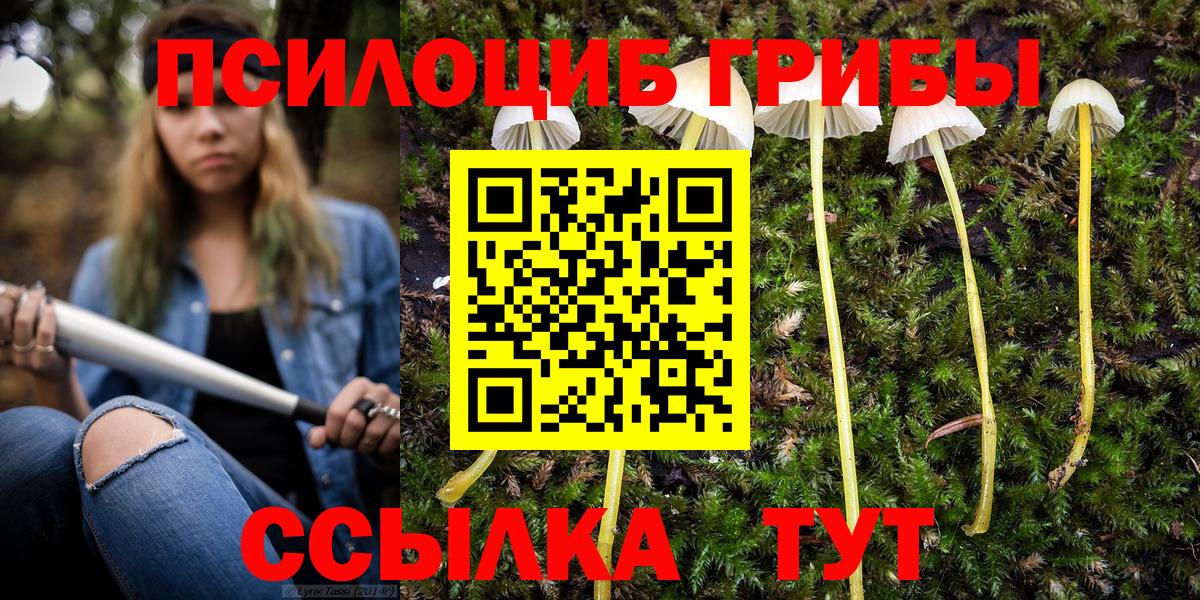 Галлюциногенные грибы мицелий Асбест